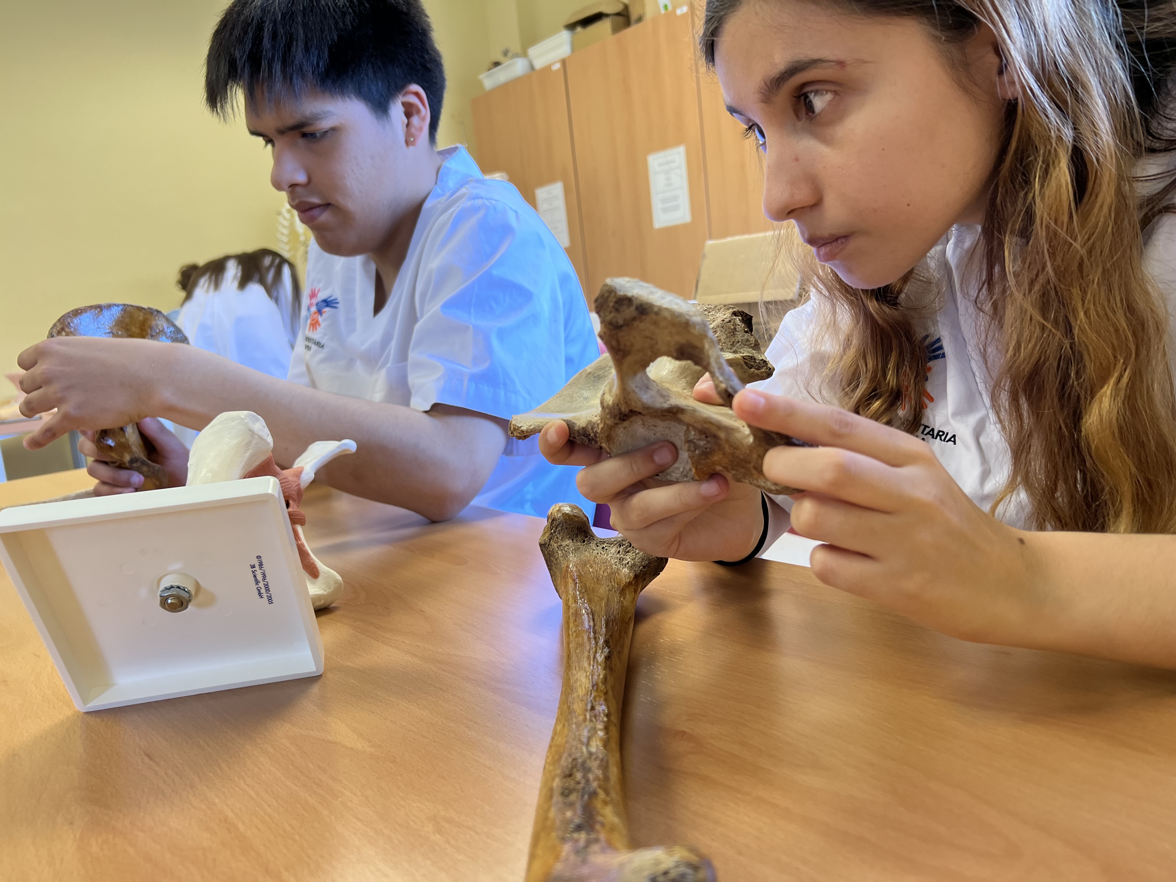 Alumnos de Escuela Universitaria de Fisioterapia de la ONCE en clase de Anatomía con recursos adaptados